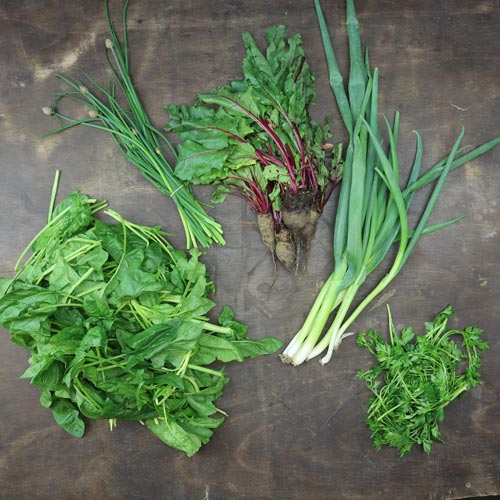 2025-csa-week-1-share
