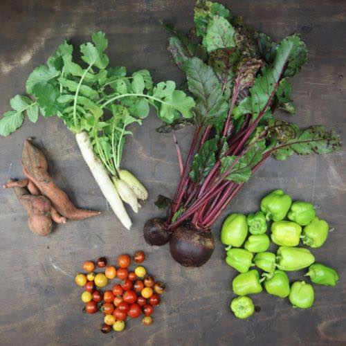 2025-csa-week-27-share