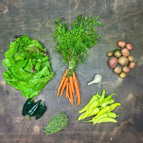 2026-csa-week-16-share