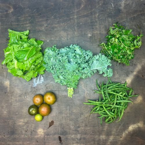 2026-csa-week-18-share