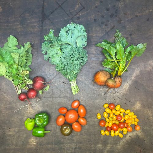 2026-csa-week-22-share