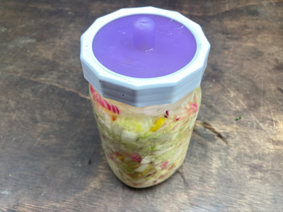fermented-cabbage